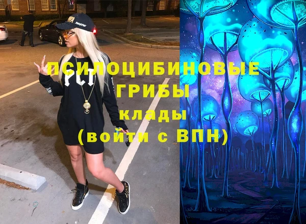 эйфоретик Алзамай