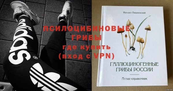 эйфоретик Алзамай