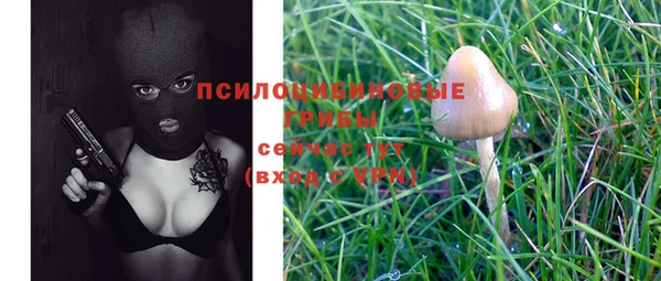 эйфоретик Алзамай