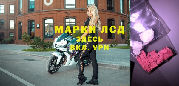 эйфоретик Алзамай