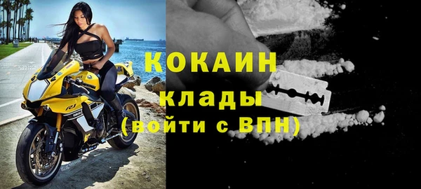 тгк Новосибирск